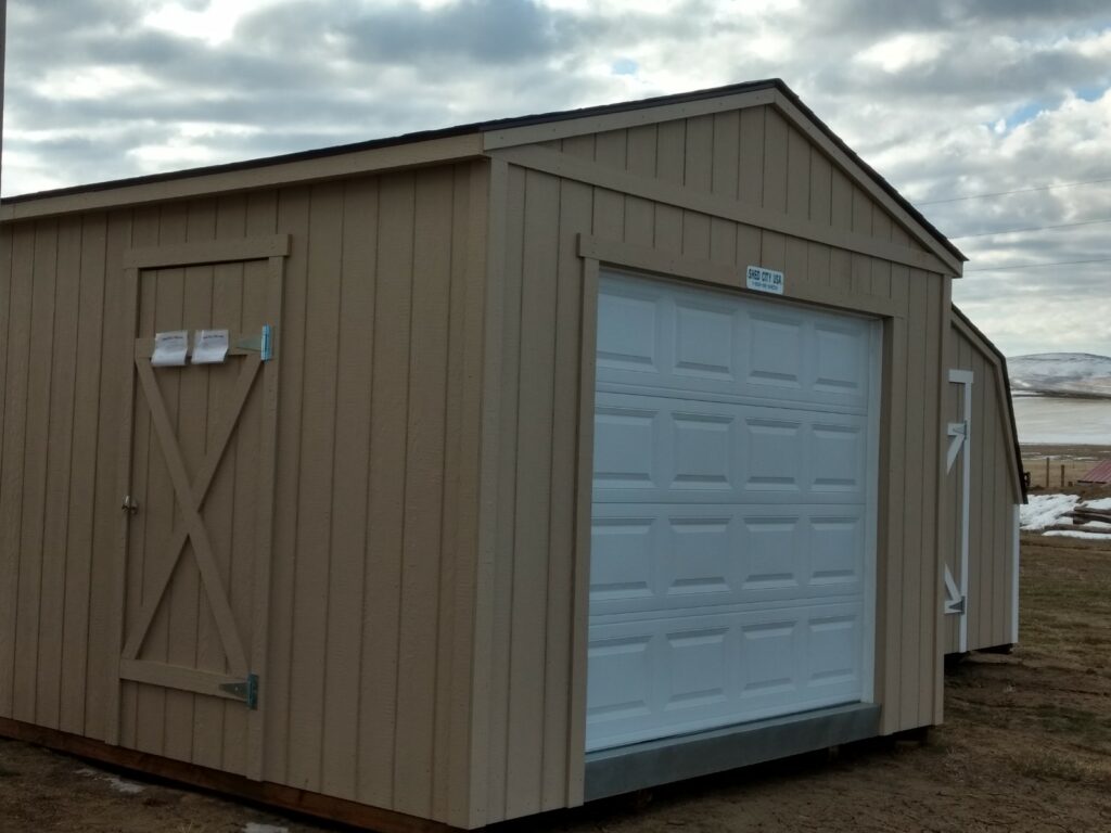 Portable Garage with a shed door