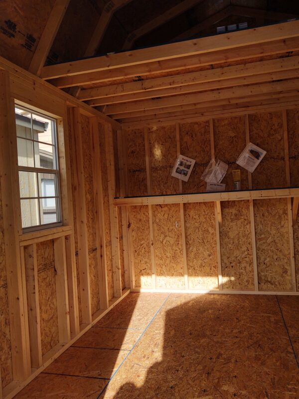 Window and Shelf in shed