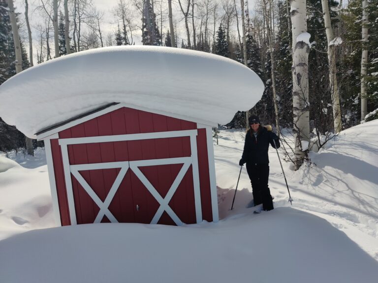 Red Shed City USA shed buried in deep snow, with a skier beside it