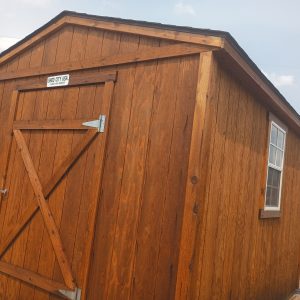 Shed with T-111 SIding